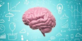 Neuroeducação: A Ciência do Cérebro Revolucionando o Ensino